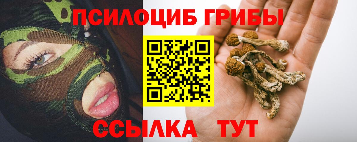 Дюртюли  Псилоцибиновые грибы Cubensis  Вход с VPN 